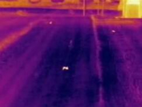 熱成像野外打獵